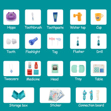 Load image into Gallery viewer, Portable dentist toy, Hoogar, 3 years+, Multicolor